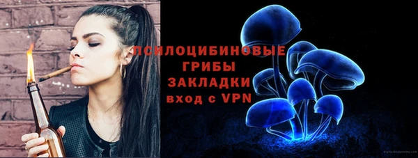марки lsd Ельня