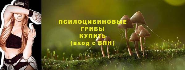 марки lsd Ельня